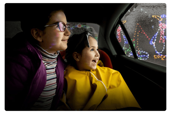 HolidayDriveThruLights.BlackbirdHealth