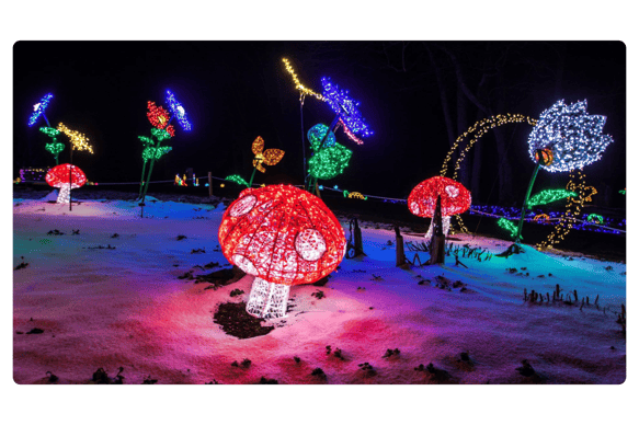 VAWinterWalk.BlackbirdHealth